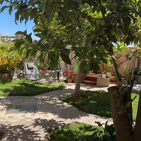 Las Palmeras Eco Hostel Cabanaconde Exterior photo